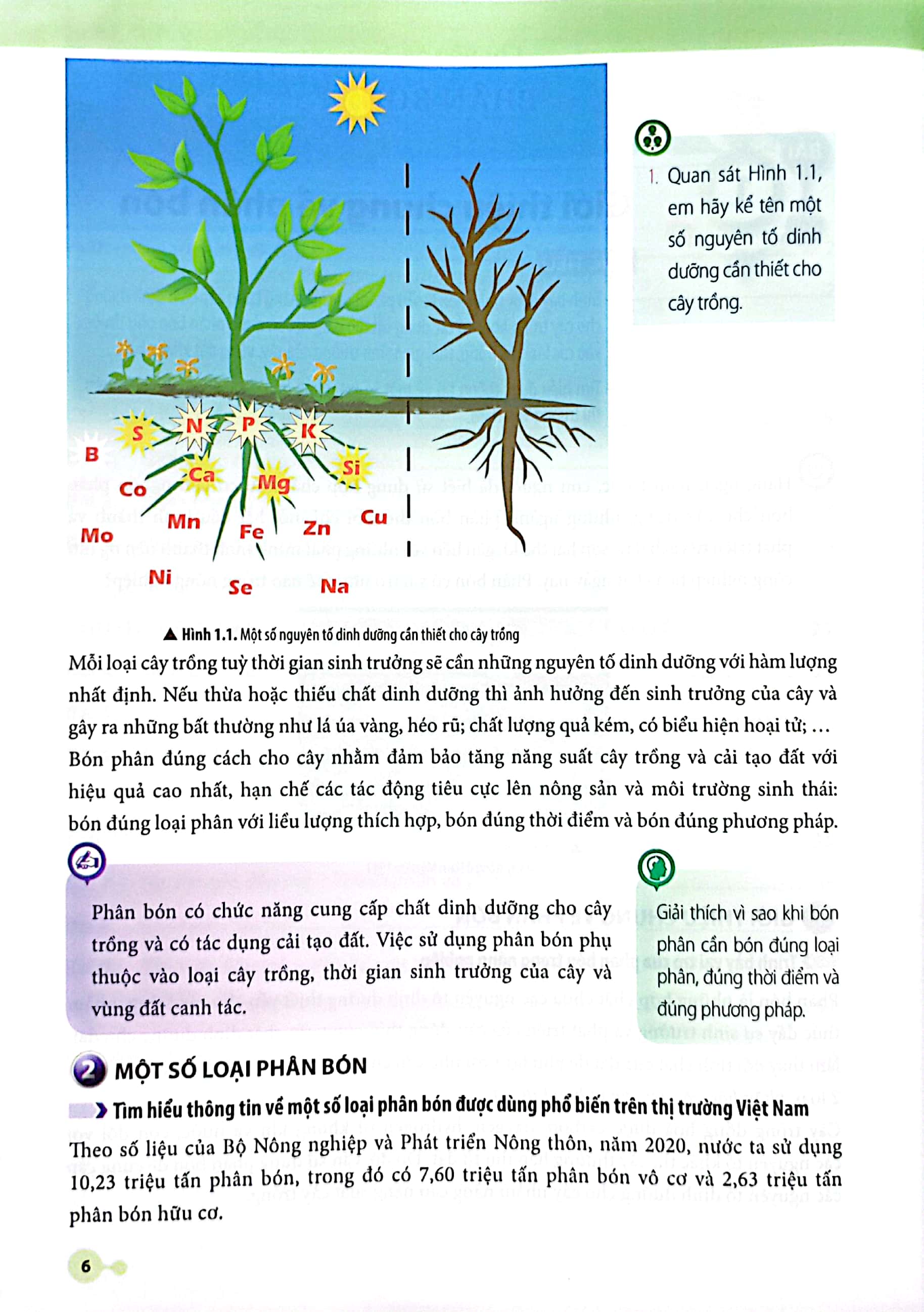 bộ chuyên đề học tập hoá học 11 (chân trời sáng tạo) (chuẩn) - Ảnh 5