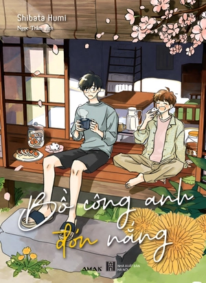 bồ công anh đón nắng - Ảnh 2