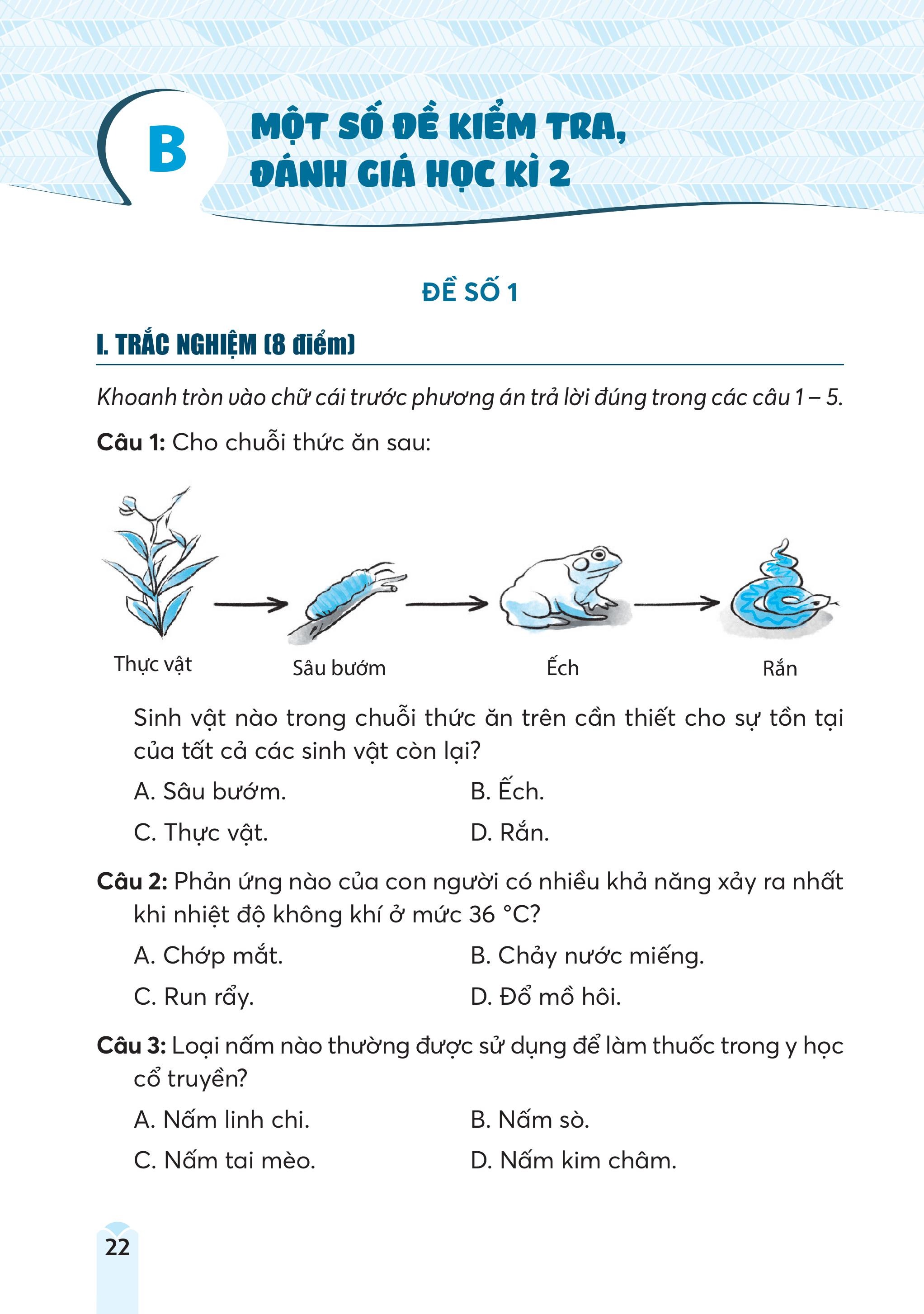 Bộ Đề Kiểm Tra, Đánh Giá Khoa Học 4 - Ảnh 9