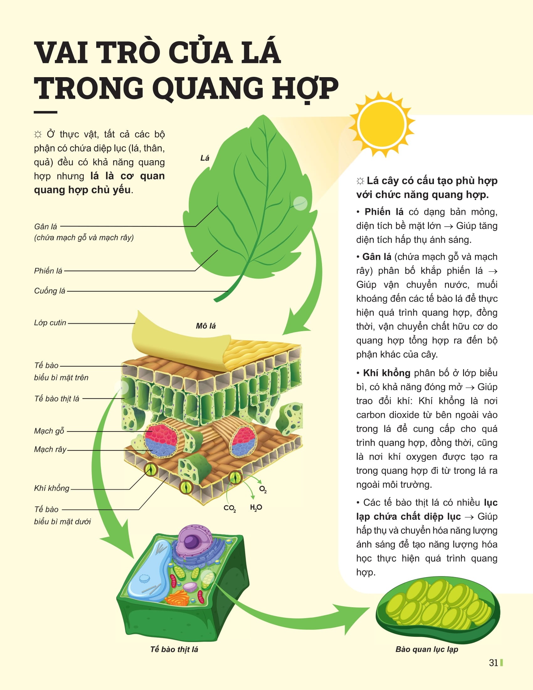 Bo
						
										
										Dot Pha Tu Duy Khoa Hoc Tu Nhien 7 - Tap 1 (Tai Ban 2025) - Ảnh 10