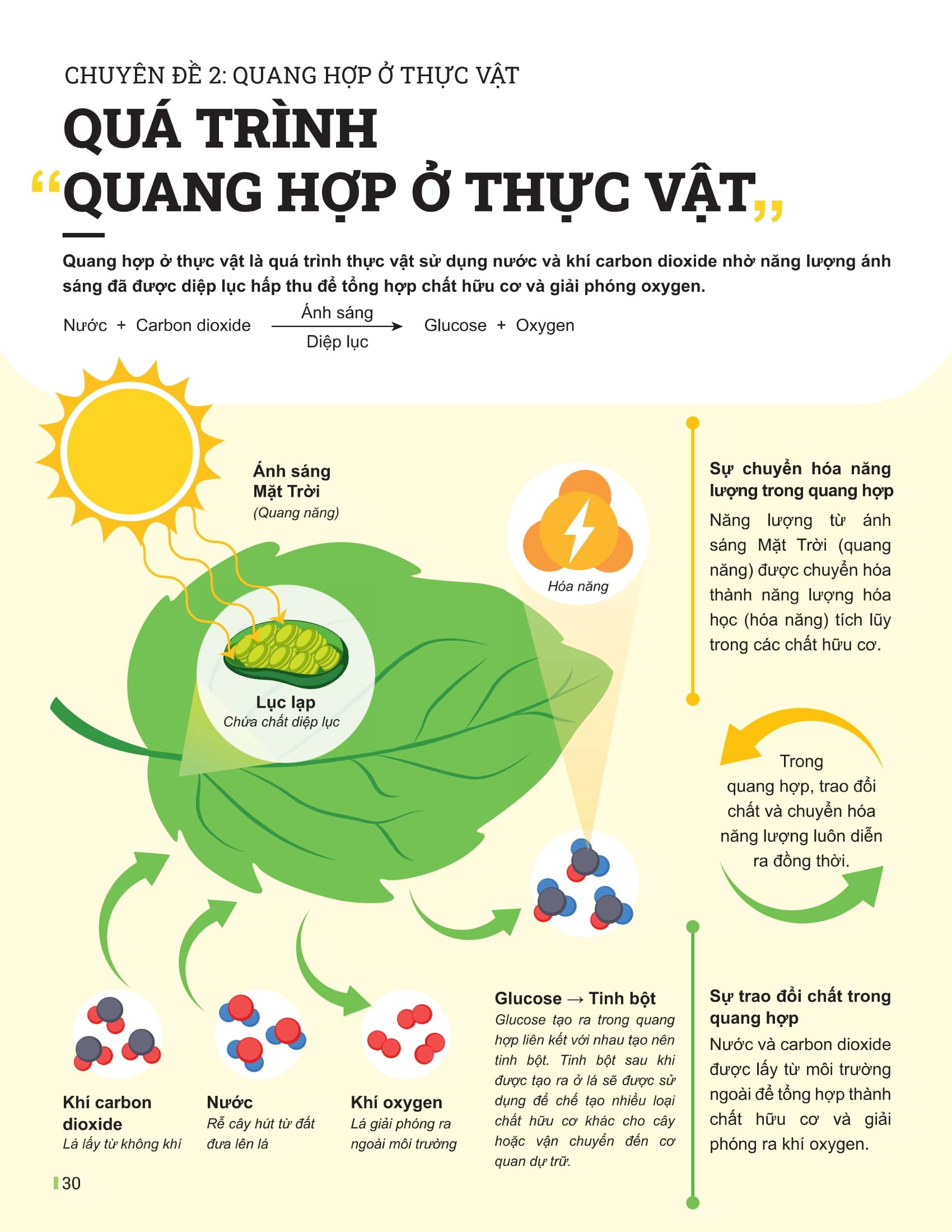 Bo
						
										
										Dot Pha Tu Duy Khoa Hoc Tu Nhien 7 - Tap 1 (Tai Ban 2025) - Ảnh 9