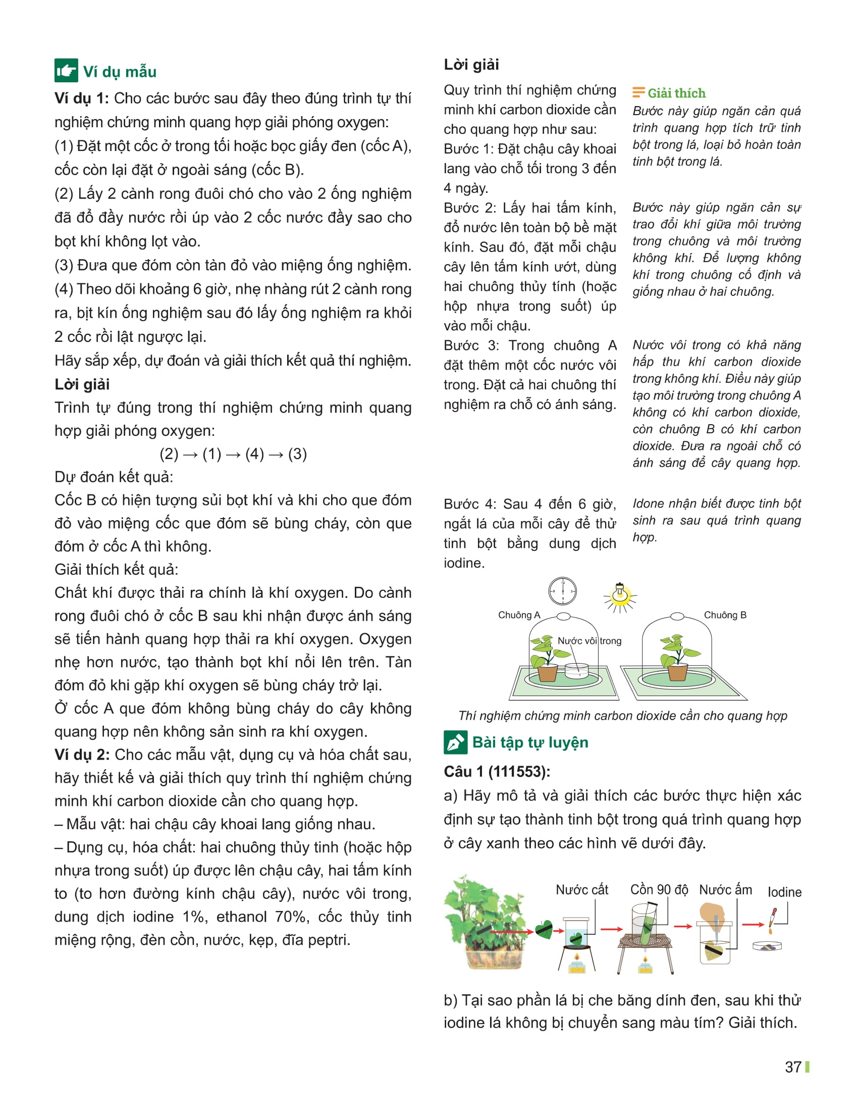 Bộ Đột Phá Tư Duy Khoa Học Tự Nhiên 7 - Tập 2 - Ảnh 14