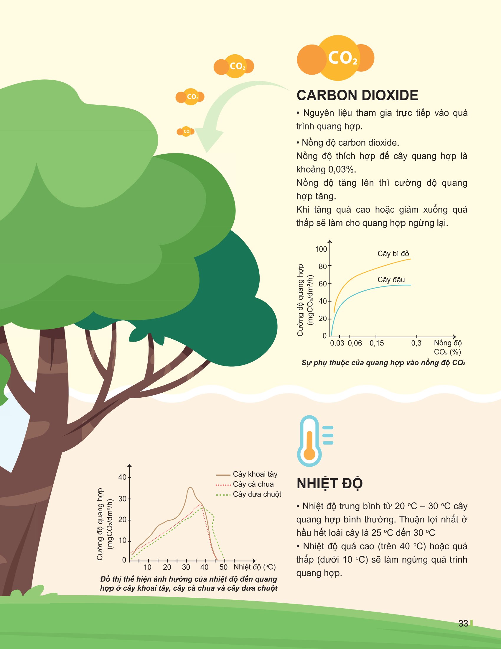 Bộ
						
										
										Đột Phá Tư Duy Khoa Học Tự Nhiên 7 - Tập 2 (Tái Bản 2026) - Ảnh 11