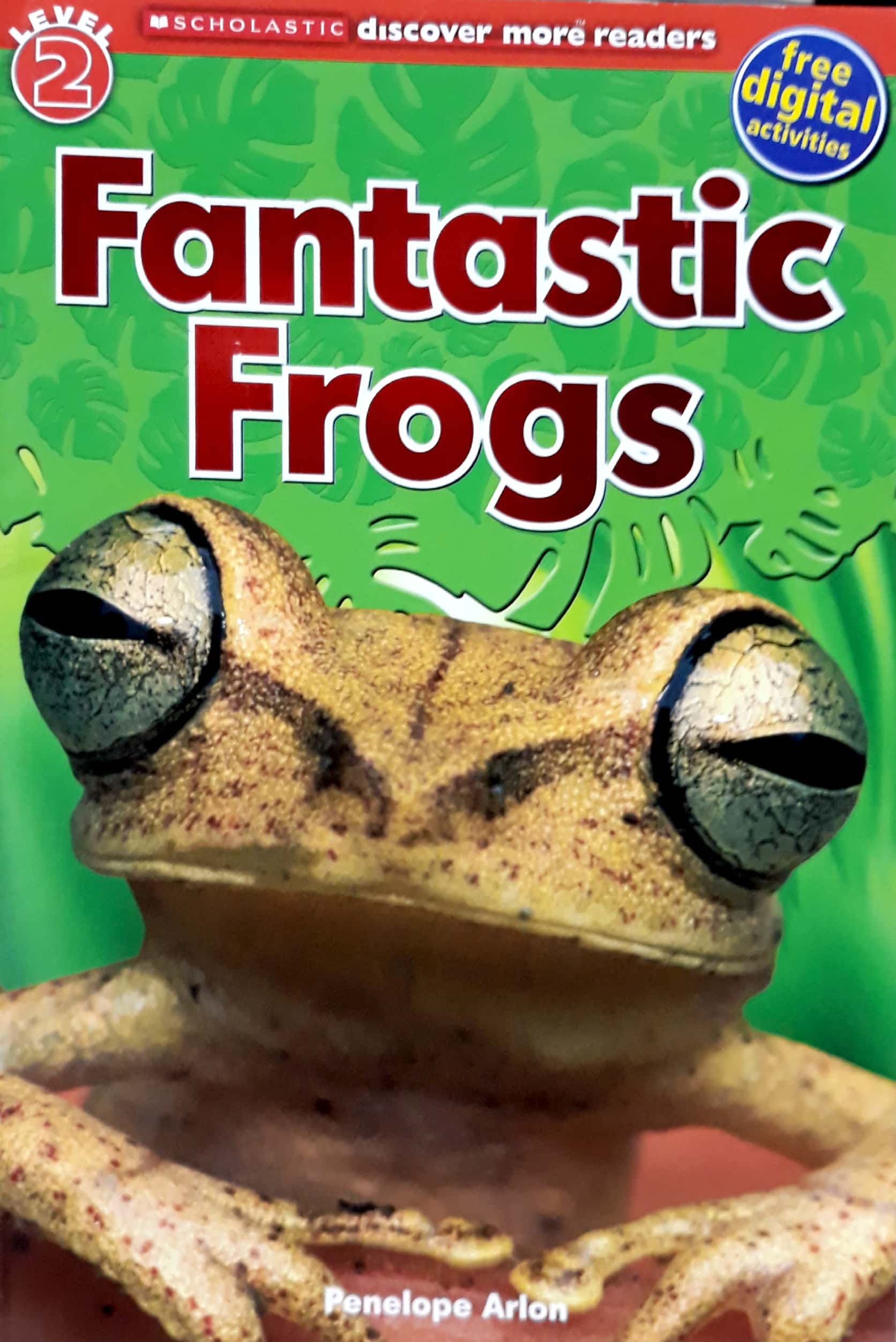 bộ fantastic frogs