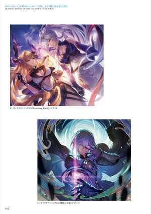 bộ granblue fantasy グランブルーファンタジー graphic archive ix extra works - Ảnh 14