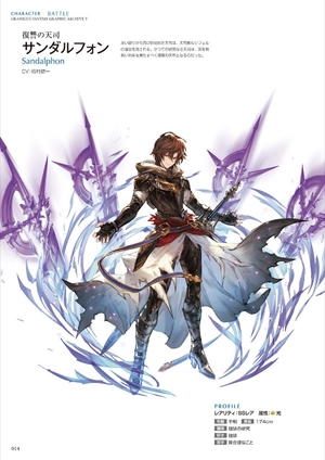 bộ granblue fantasy グランブルーファンタジー graphic archive v - Ảnh 16