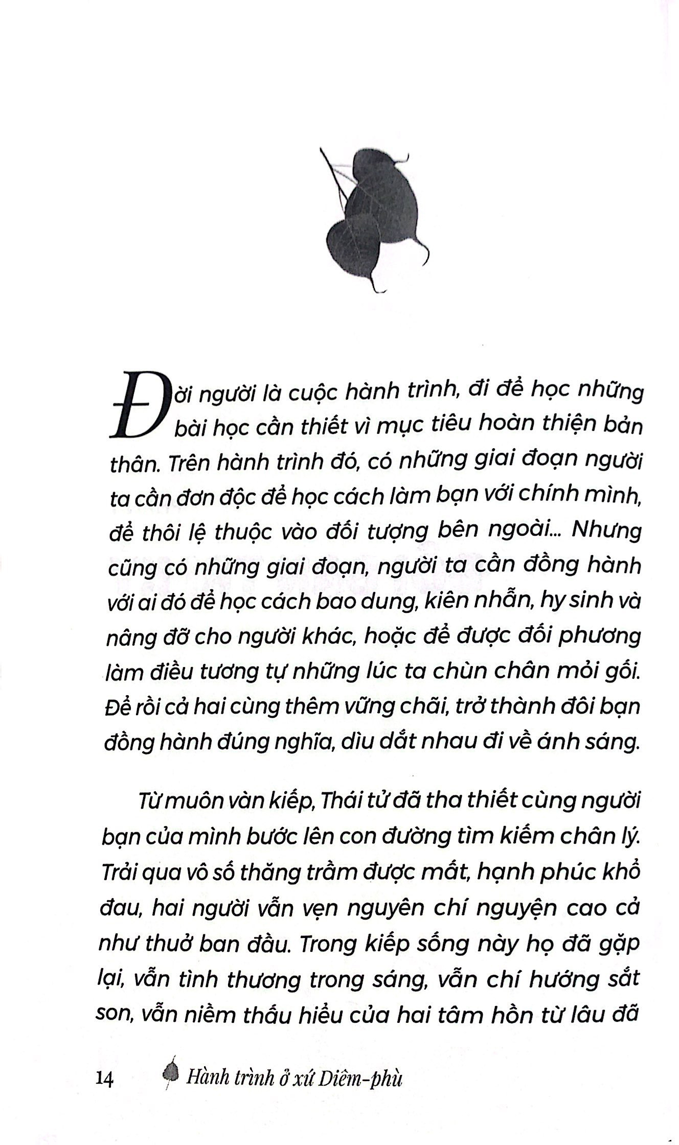 bộ hành trình ở xứ diêm-phù - tập 2 - Ảnh 9