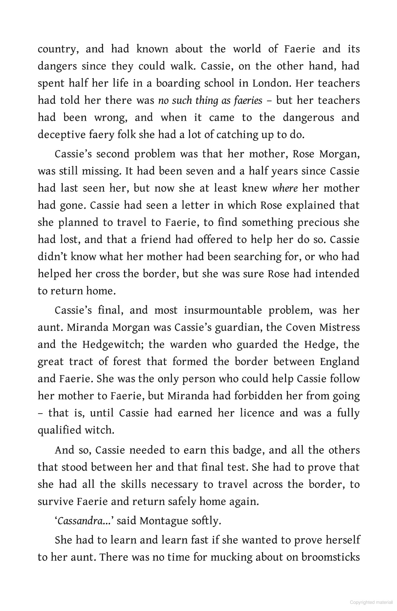 Bộ Hedgewitch - Book 2 - Woodwitch - Ảnh 5