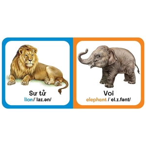 bộ hộp baby's first picture dictionary - từ điển bằng hình đầu tiên của bé - dành cho bé từ 0-6 tuổi - hộp vàng (trọn bộ 9 cuốn) - 2022 - Ảnh 5
