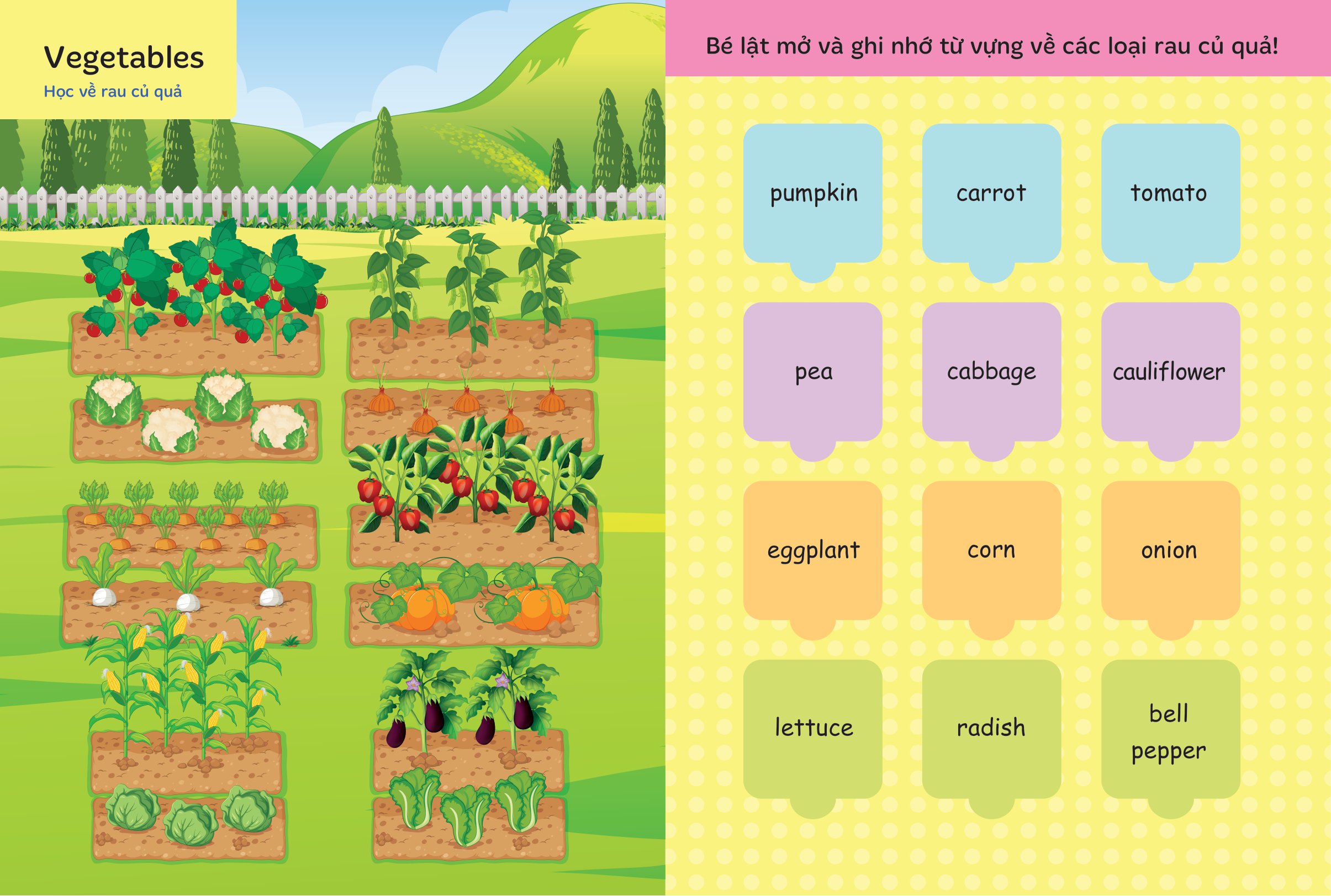 bộ lật mở từ vựng tiếng anh đầu tiên cho bé - cuốn 2 - Ảnh 4