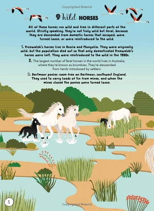 bộ lists for curious kids: animals: 206 fun, fascinating and fact-filled lists - Ảnh 7