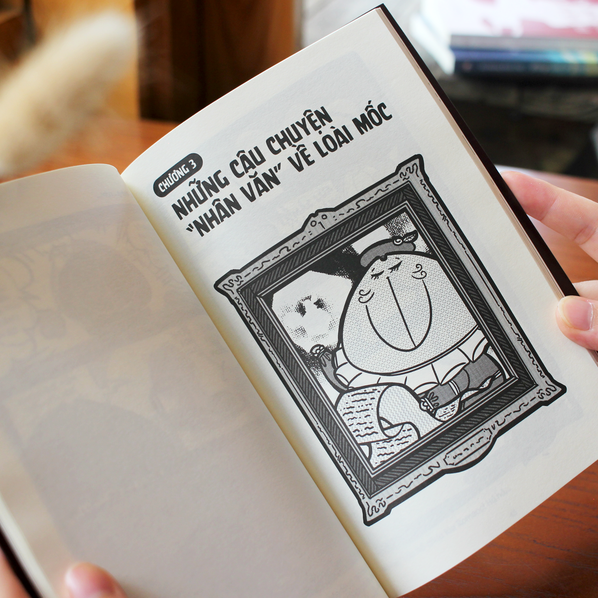 Bộ Mèo Mốc Black Book - Tập 5 - Ảnh 4