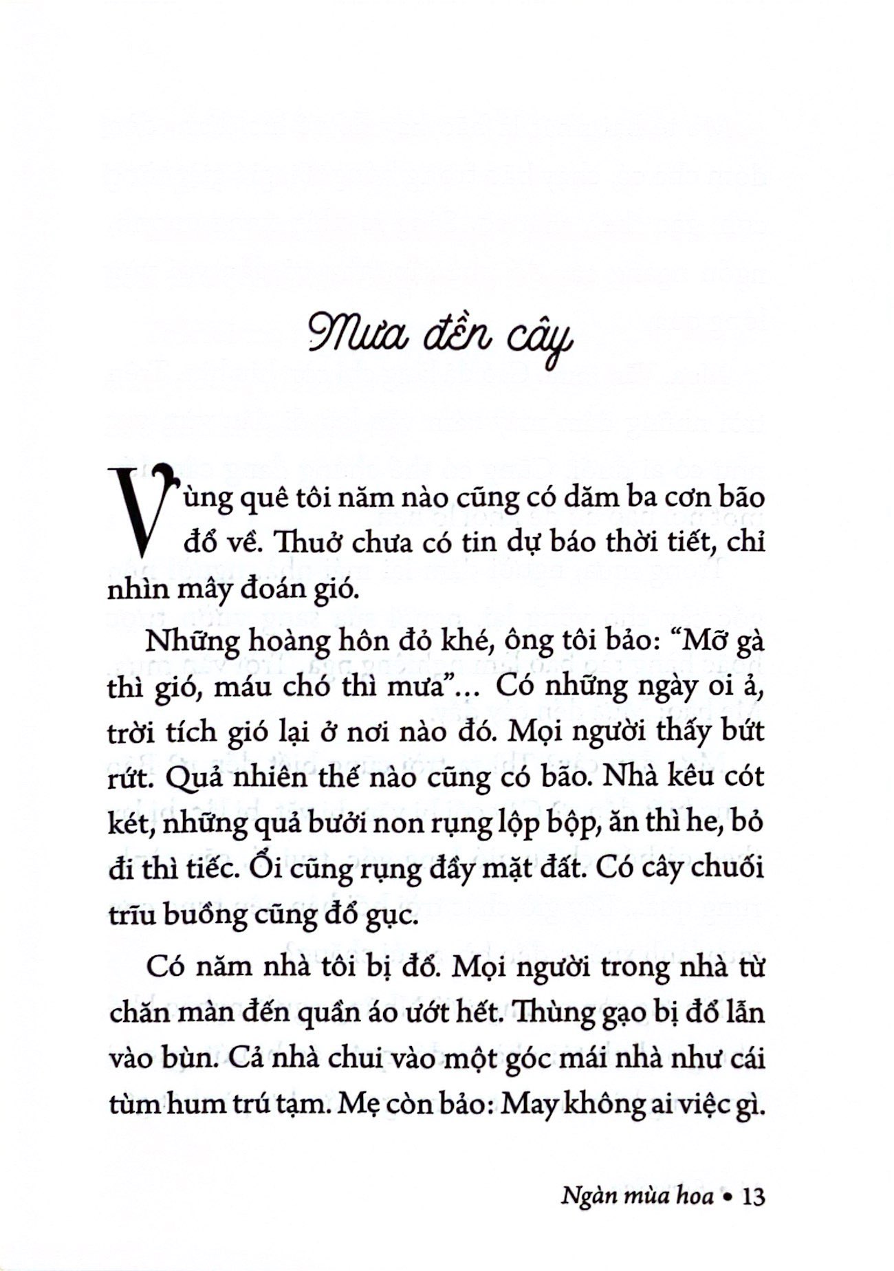 Bộ Ngàn Mùa Hoa - Nét Đẹp Quê Hương - Ảnh 6