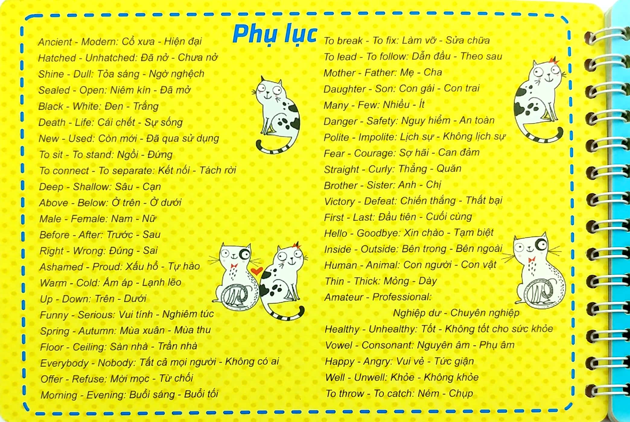 bộ những cặp từ vựng trái nghĩa và trò chơi ghép chữ - opposite words in pictures (tập 2) - Ảnh 2
