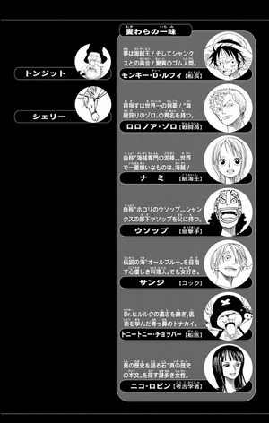 bộ one piece 34 - Ảnh 5