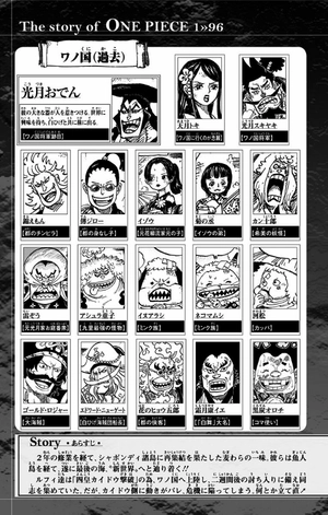 bộ one piece 96 - Ảnh 13