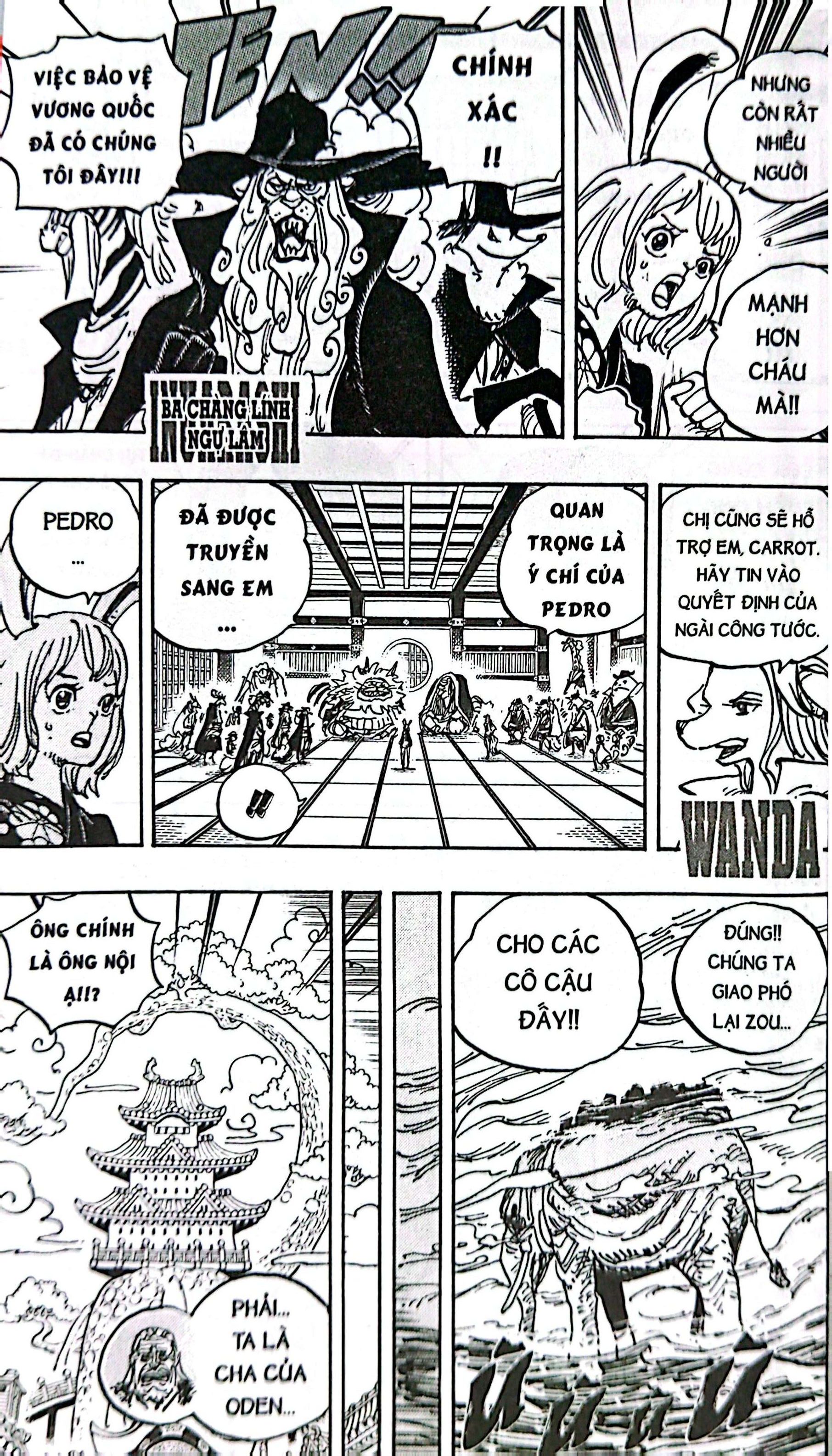 Bộ One Piece - Tập 105 - “Ước Mơ Của Luffy” - Bản Bìa Áo - Ảnh 8