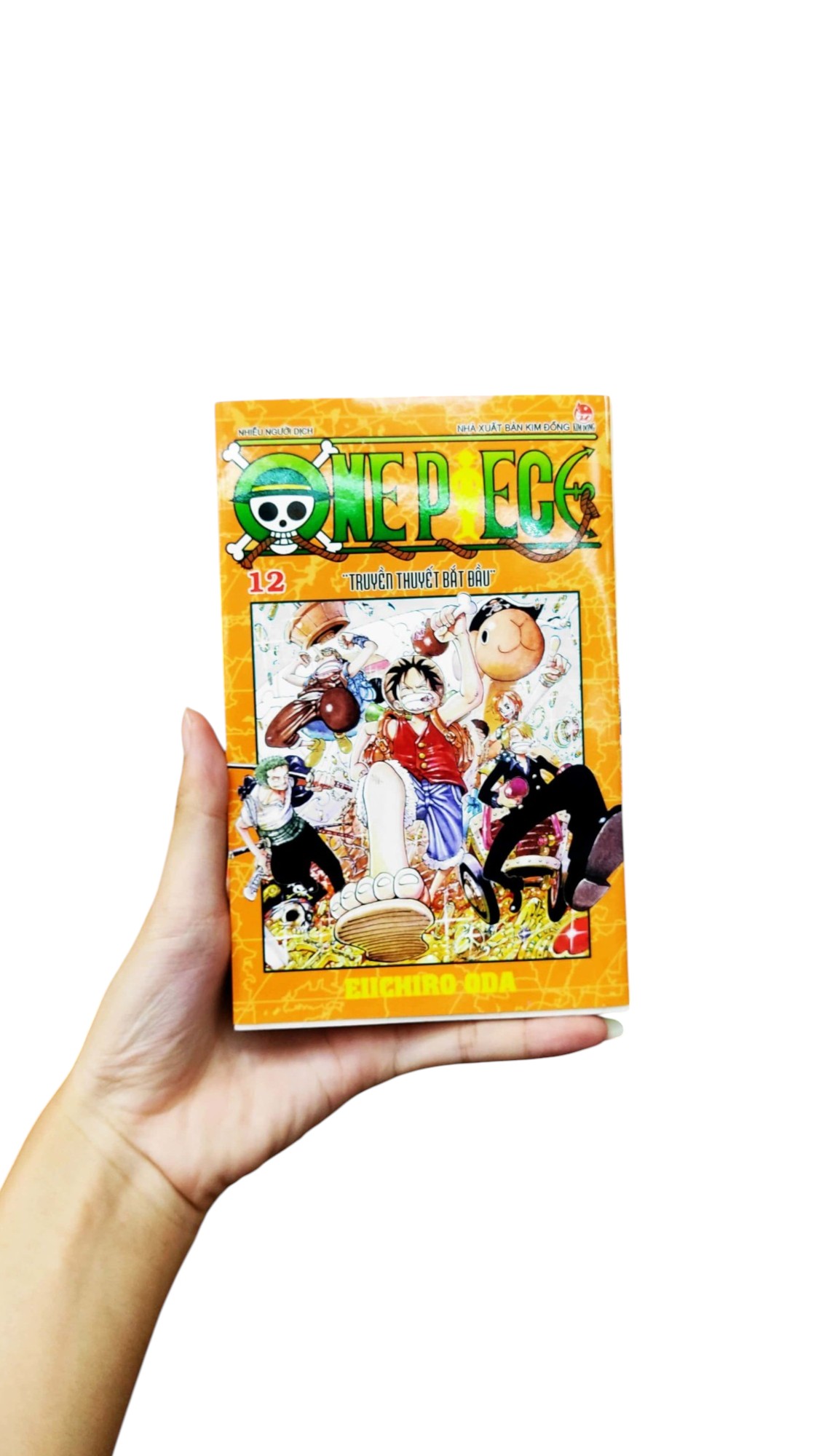 Bo
						
										
										One Piece - Tap 12 - Truyen Thuyet Bat Dau - Ban Bia Ao (Tai Ban 2025) - Ảnh 7