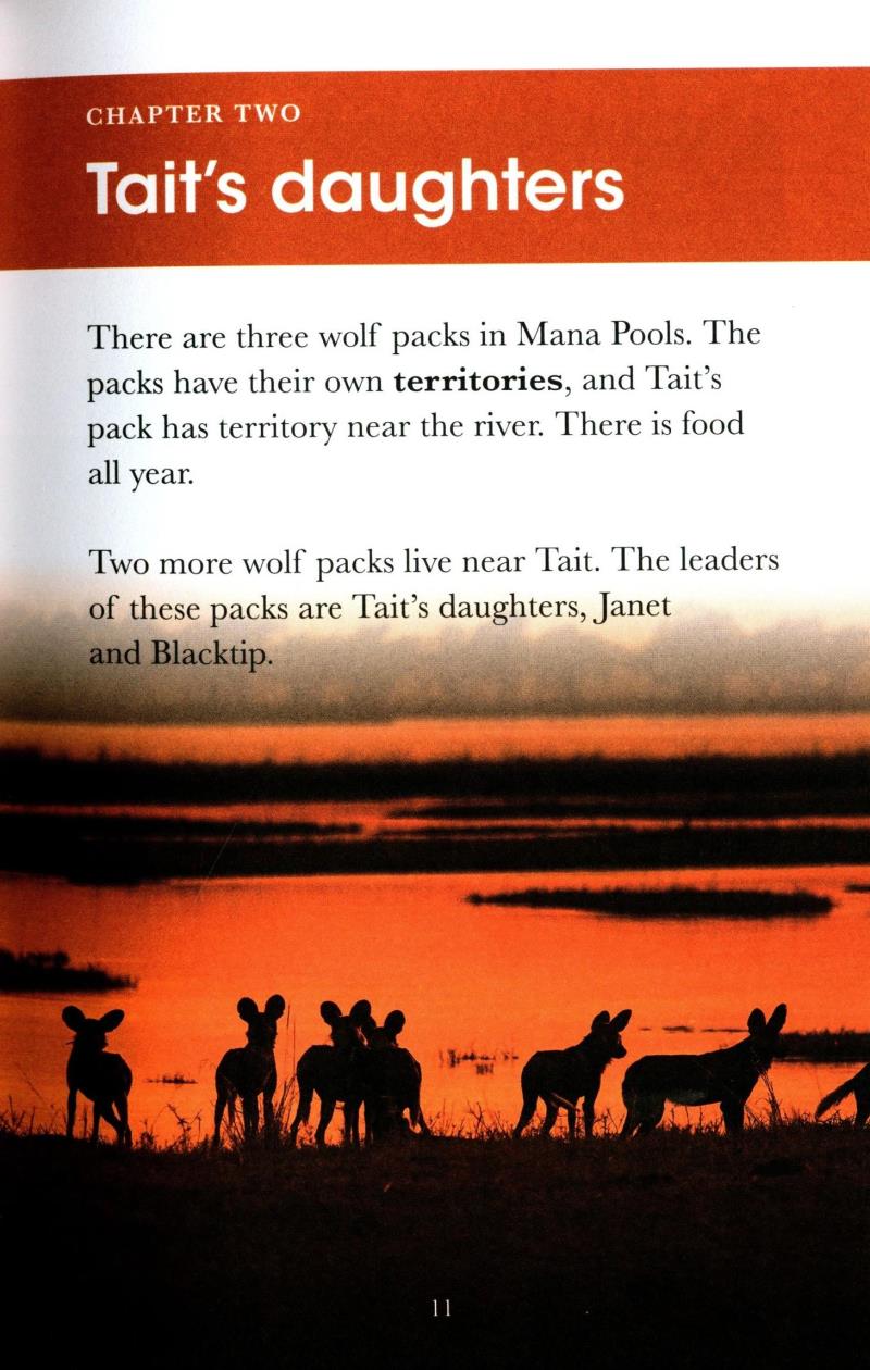 Bộ Penguin Readers Level 1: BBC Dynasties: Wolves - Ảnh 4