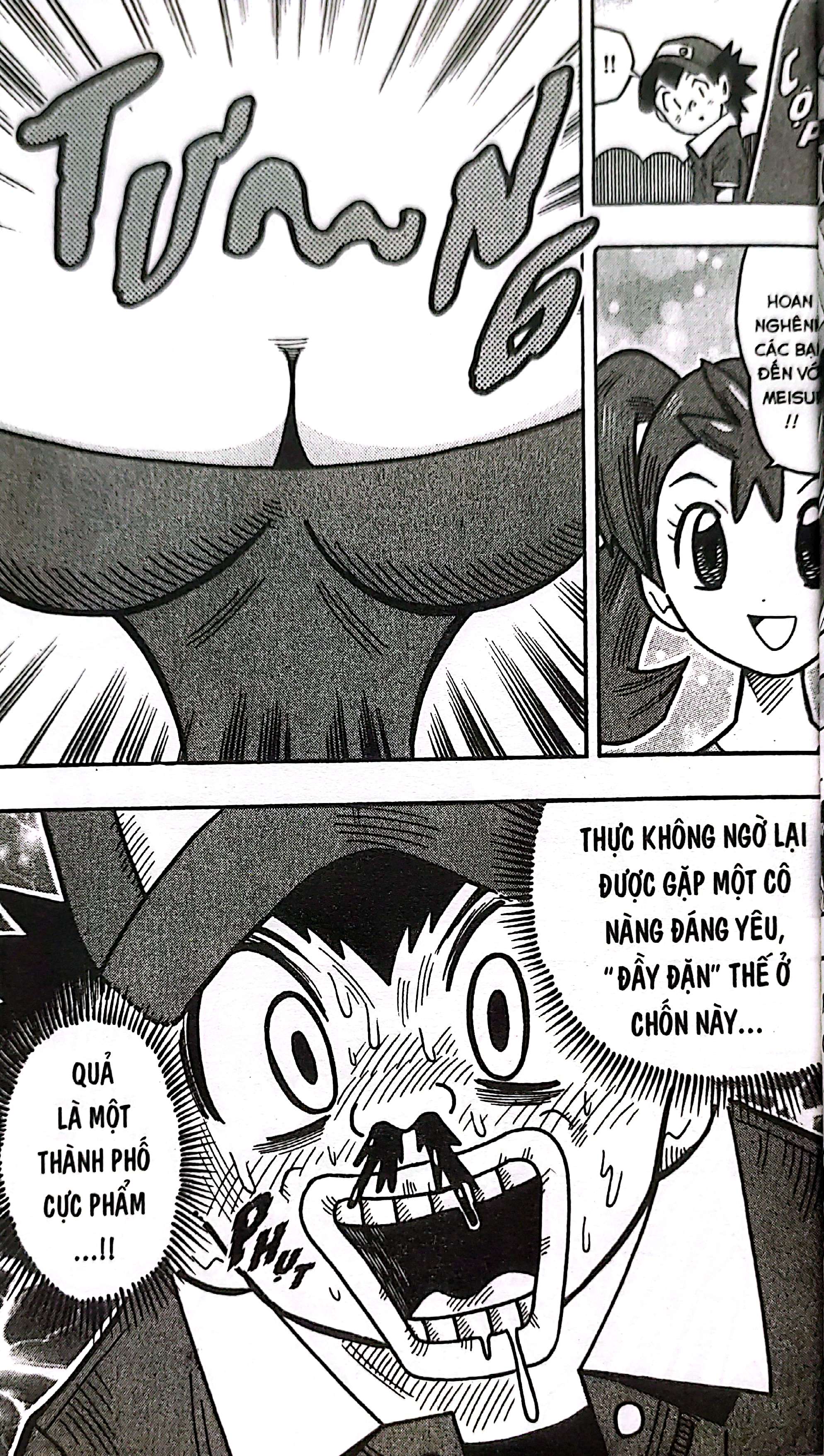 Bộ Pokémon - Cuộc Phiêu Lưu Của Pippi X.Y - Tập 1 - Ảnh 9