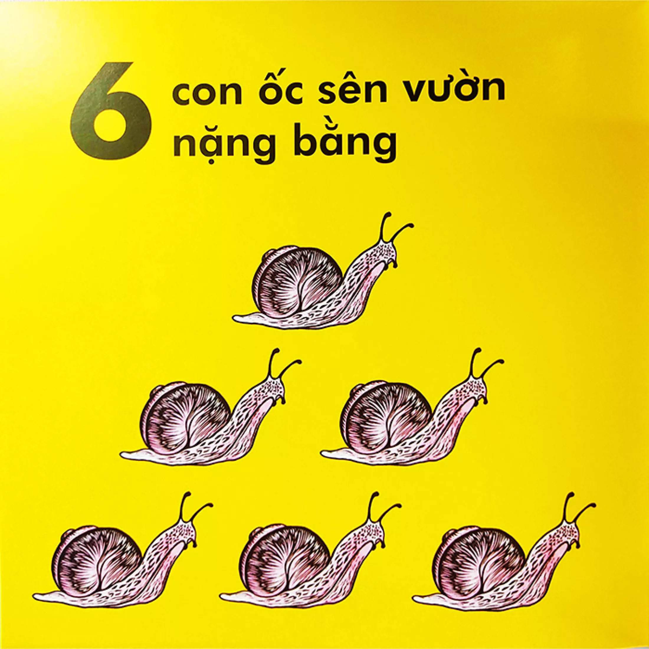 bọ rùa nặng chừng nào? (tái bản 2023) - Ảnh 7