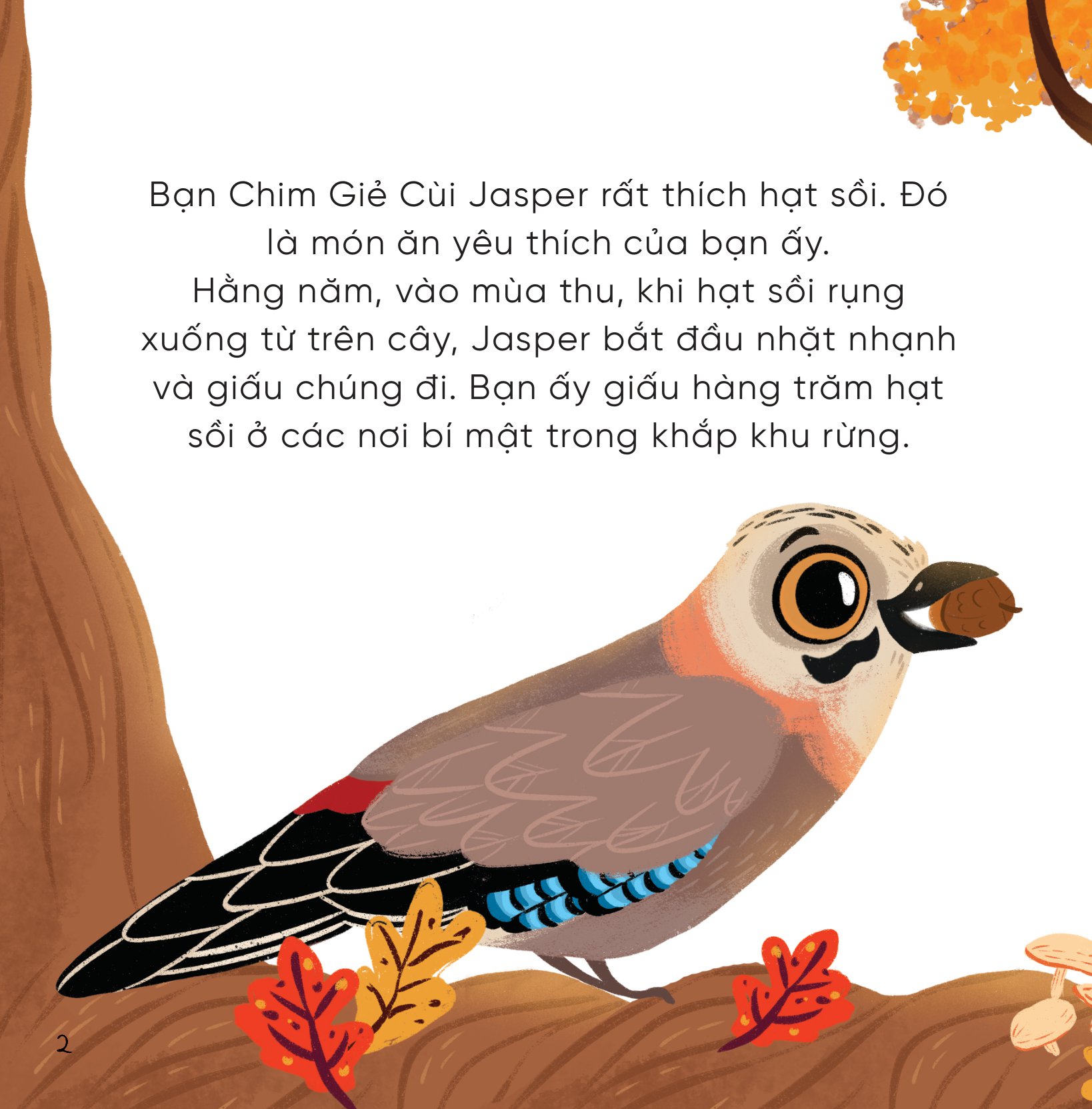bộ sách những bài học nhỏ từ rừng xanh (bộ 4 cuốn) - Ảnh 12
