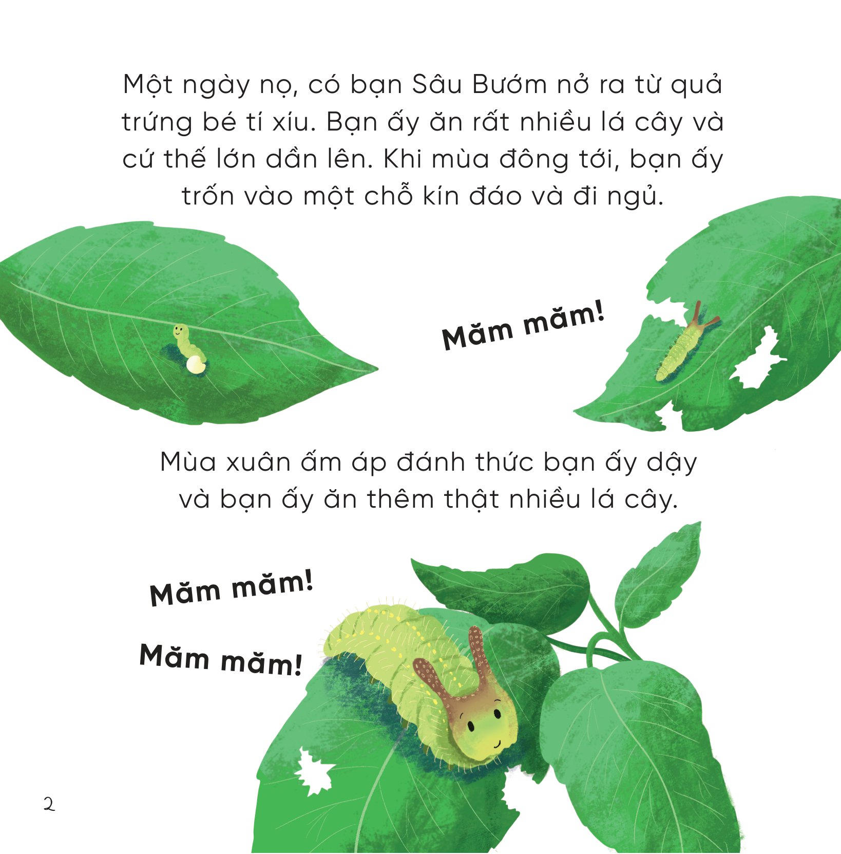 bộ sách những bài học nhỏ từ rừng xanh (bộ 4 cuốn) - Ảnh 3