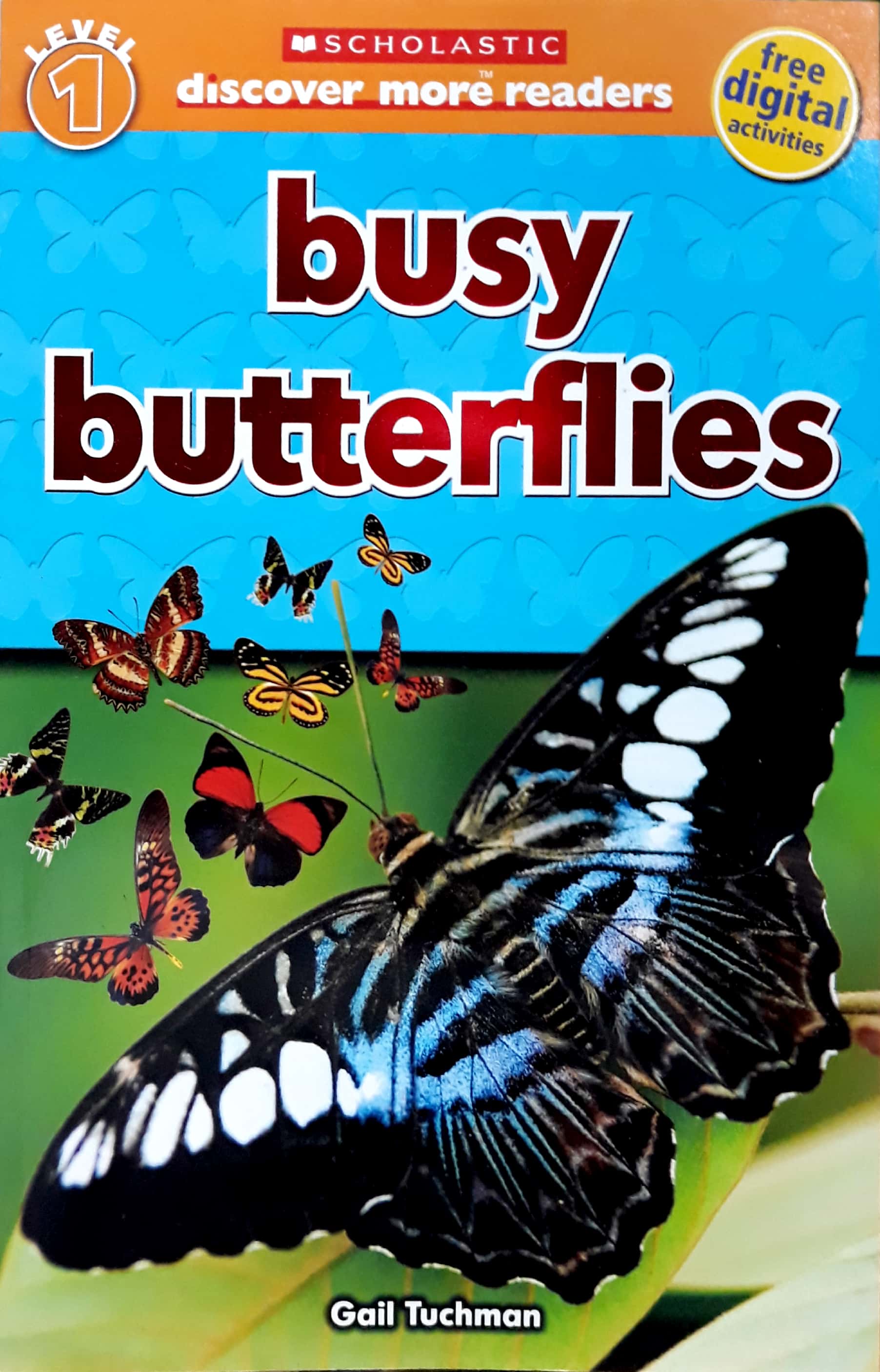 bộ scholastic discover more reader lvl 1: busy butterflies