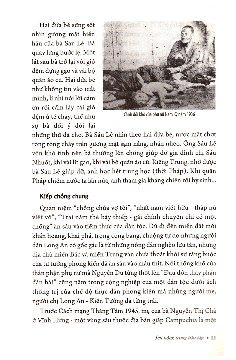 bộ sen hồng trong bão táp - tập 1 - Ảnh 7