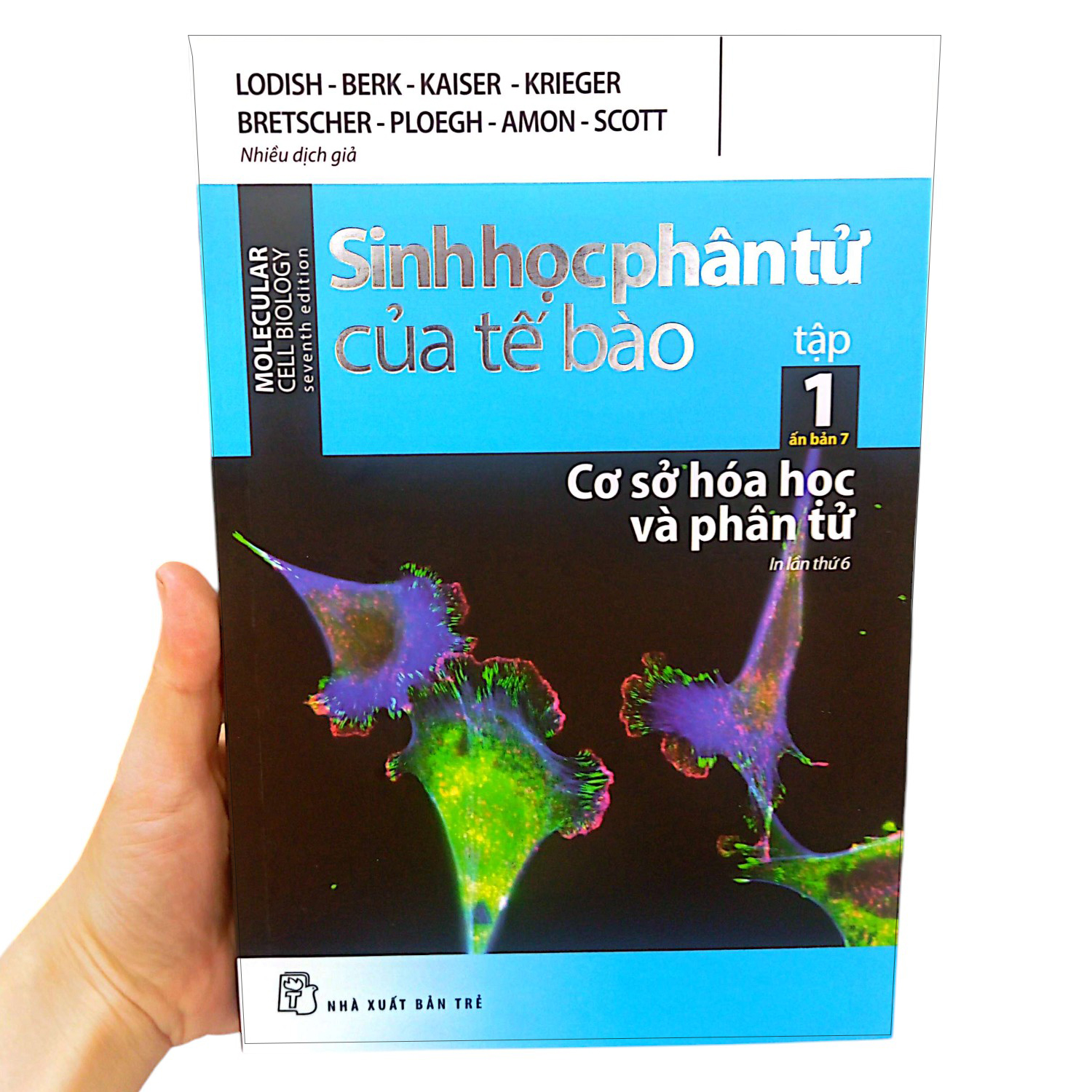 Bộ Sinh Học Phân Tử Của Tế Bào - Tập 1 - Cơ Sở Hoá Học Và Phân Tử (Tái Bản 2024) - Ảnh 12