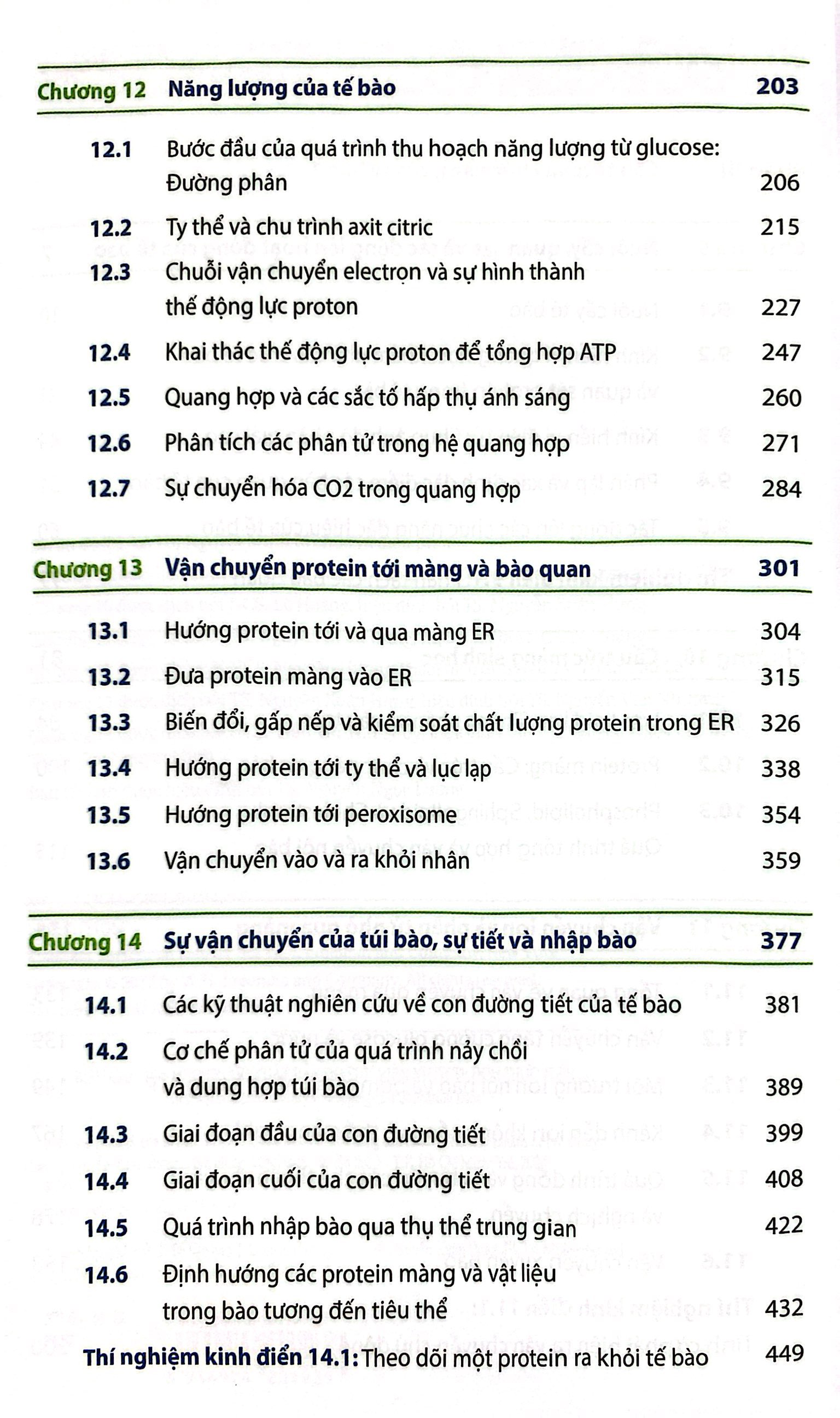 Bộ Sinh Học Phân Tử Của Tế Bào - Tập 3 - Cấu Trúc Và Chức Năng Của Tế Bào 1 (Tái Bản 2024) - Ảnh 4