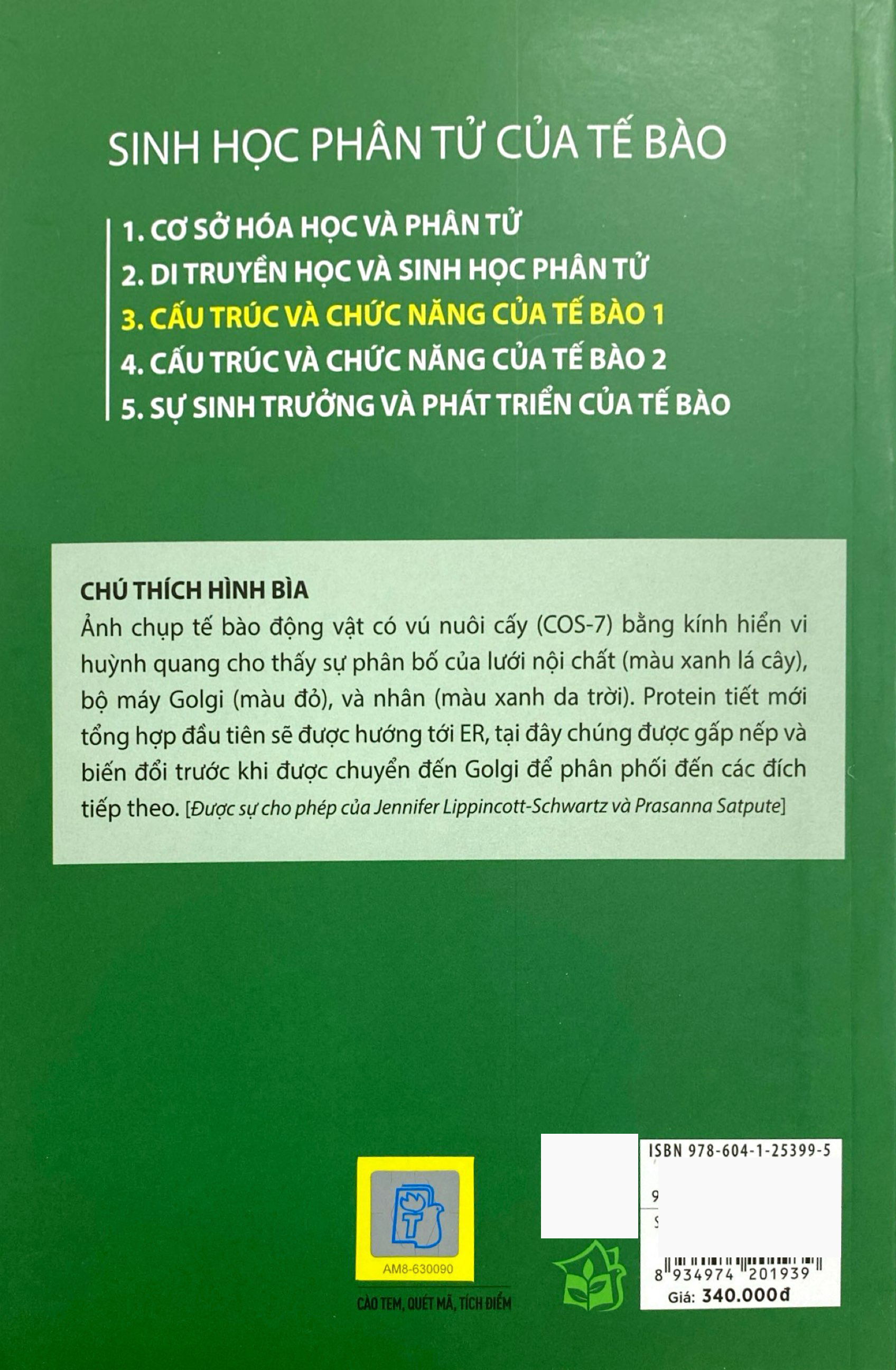 Bộ Sinh Học Phân Tử Của Tế Bào - Tập 3 - Cấu Trúc Và Chức Năng Của Tế Bào 1 (Tái Bản 2024) - Ảnh 8