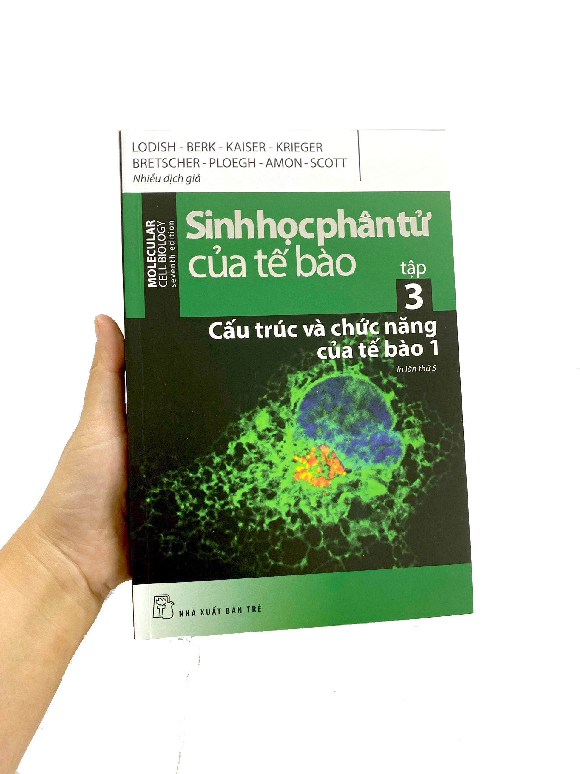 Bộ Sinh Học Phân Tử Của Tế Bào - Tập 3 - Cấu Trúc Và Chức Năng Của Tế Bào 1 (Tái Bản 2024) - Ảnh 9