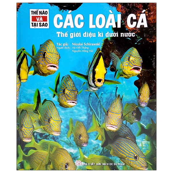 Bộ Thế Nào Và Tại Sao - Khủng Long - Trong Đế Chế Của Các Loài Bò Sát - Bìa Cứng (Tái Bản 2026) - Ảnh 7