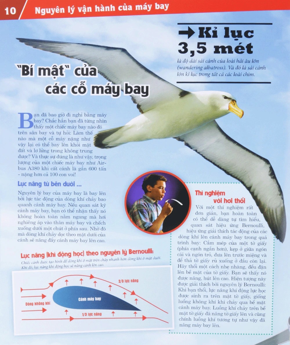 Bộ Thế Nào Và Tại Sao - Máy Bay - Giấc Mơ Bay - Bìa Cứng (Tái Bản 2026) - Ảnh 10