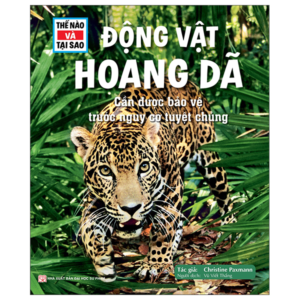 Bộ Thế Nào Và Tại Sao - Máy Bay - Giấc Mơ Bay - Bìa Cứng (Tái Bản 2026) - Ảnh 18