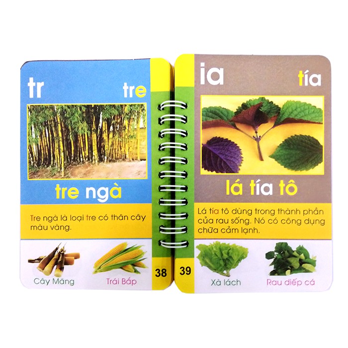 bộ thẻ tiếng việt (từ 4 - 7 tuổi) - Ảnh 4