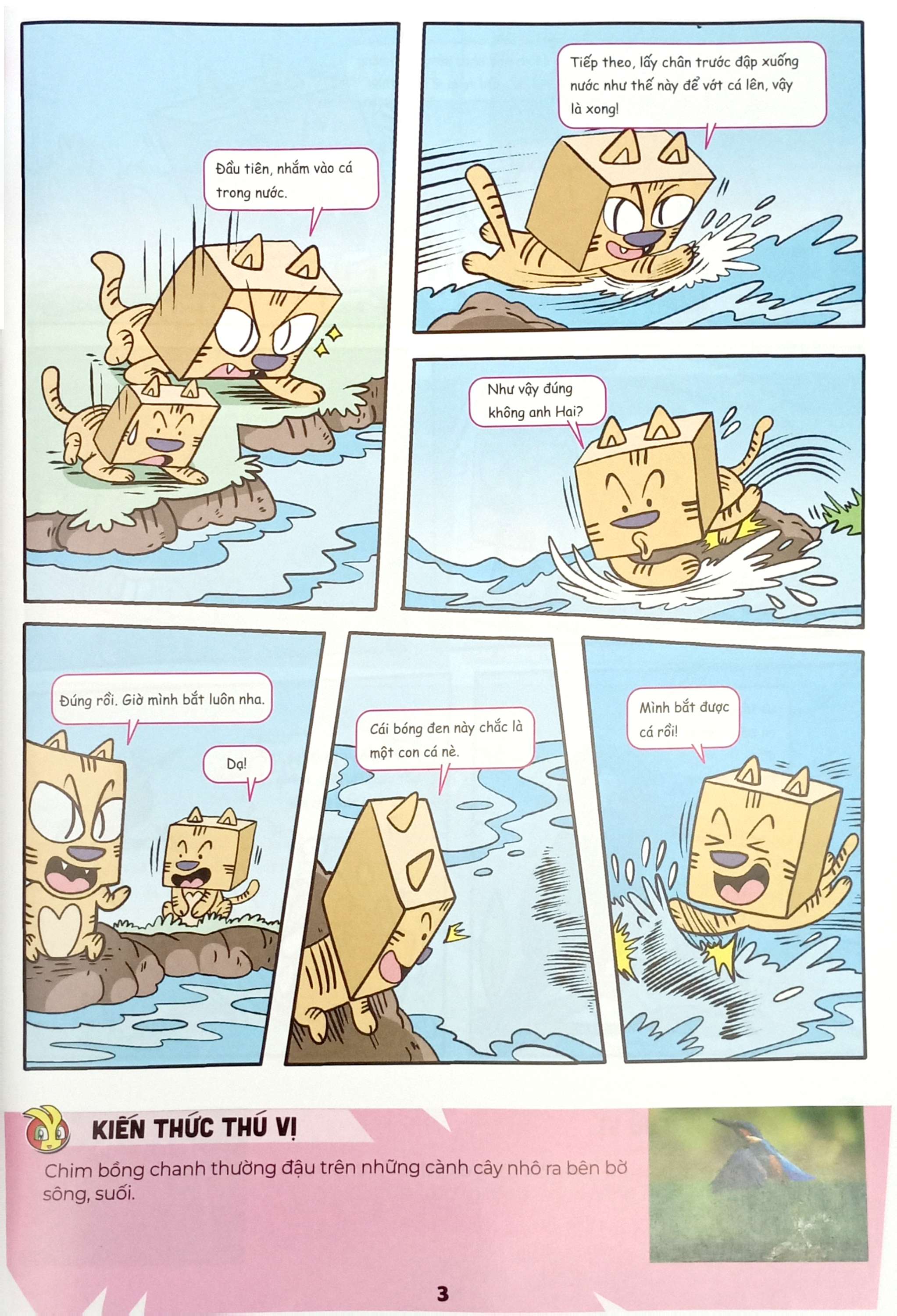 Bo
						
										
										The Young Scientists - Truyen Tranh Khoa Hoc Cho Tre Em - Level 2 - Tap 9 - Muoi Trong Bien - Ảnh 5