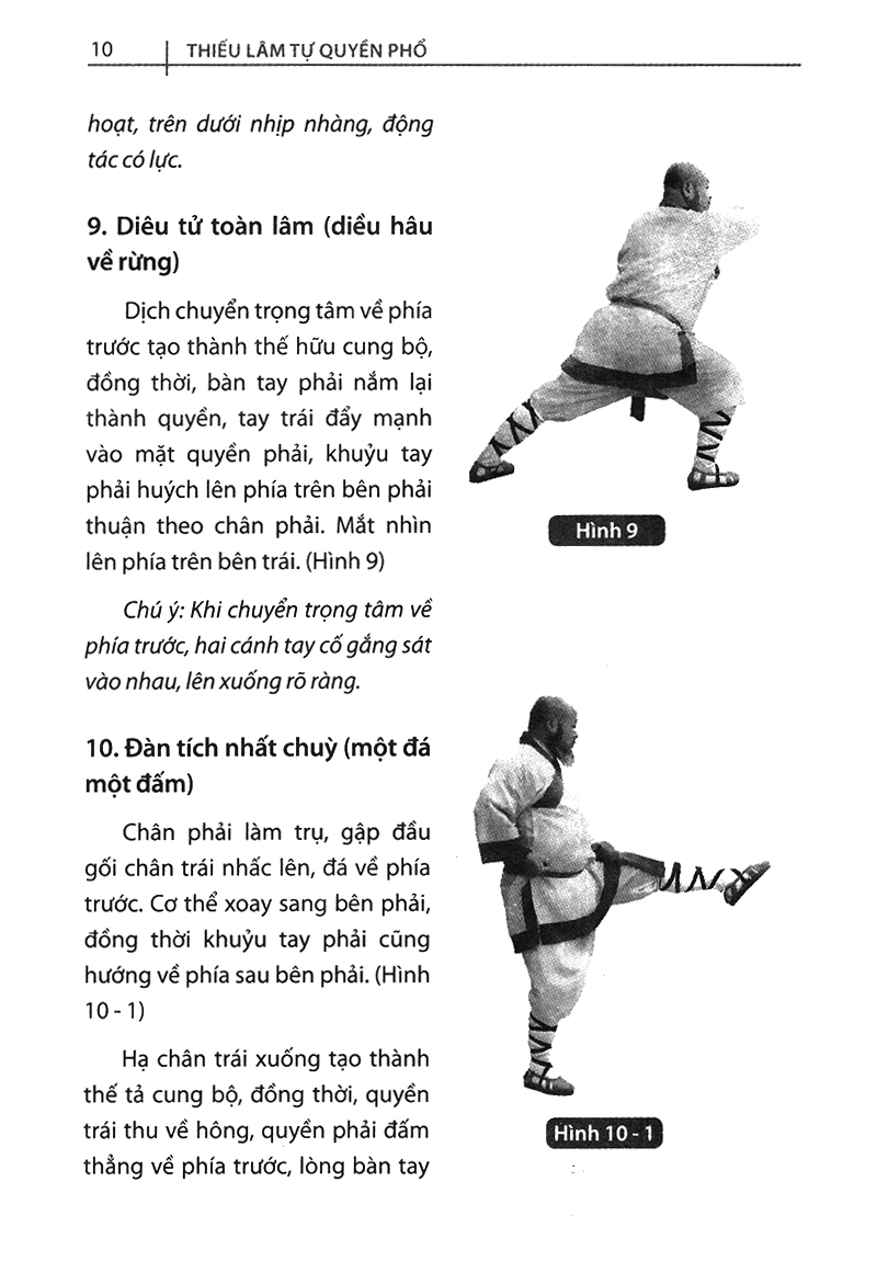 bộ thiếu lâm tự quyền phổ tập 2 - tâm ý môn - Ảnh 8