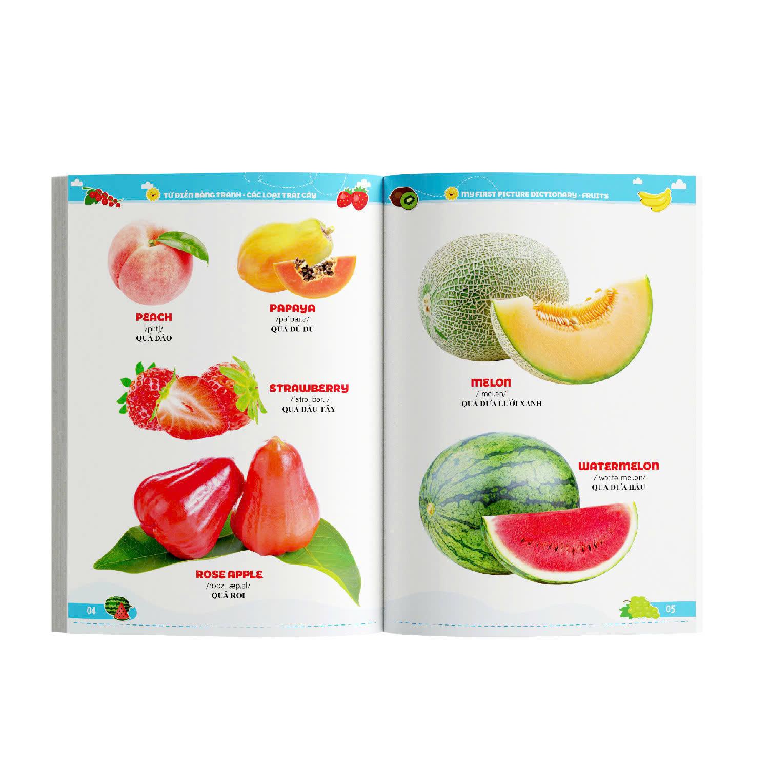 Bộ Từ Điển Bằng Tranh - Các Loại Trái Cây - Ảnh 5
