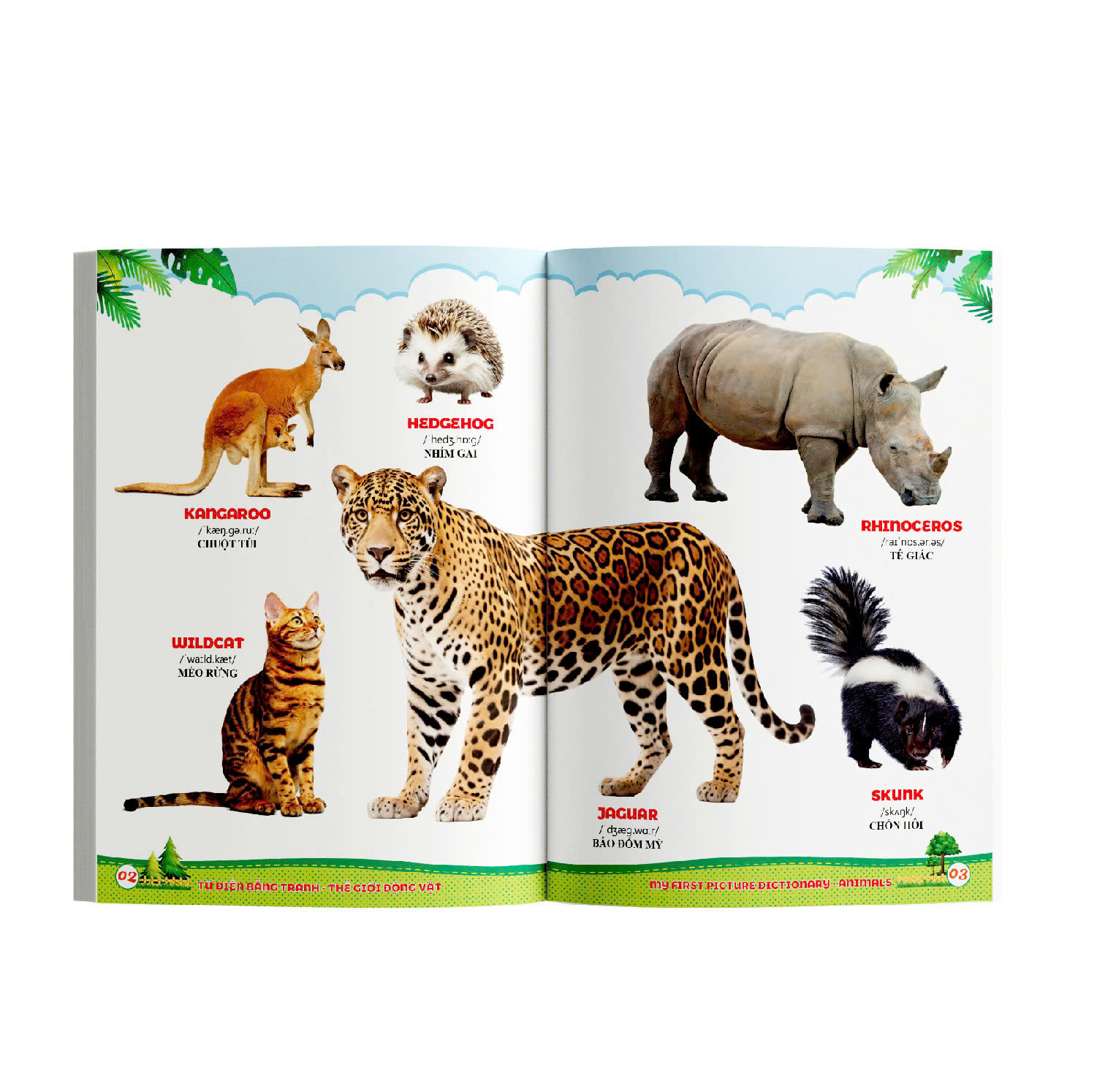 Bộ Từ Điển Bằng Tranh - Thế Giới Động Vật - Ảnh 5