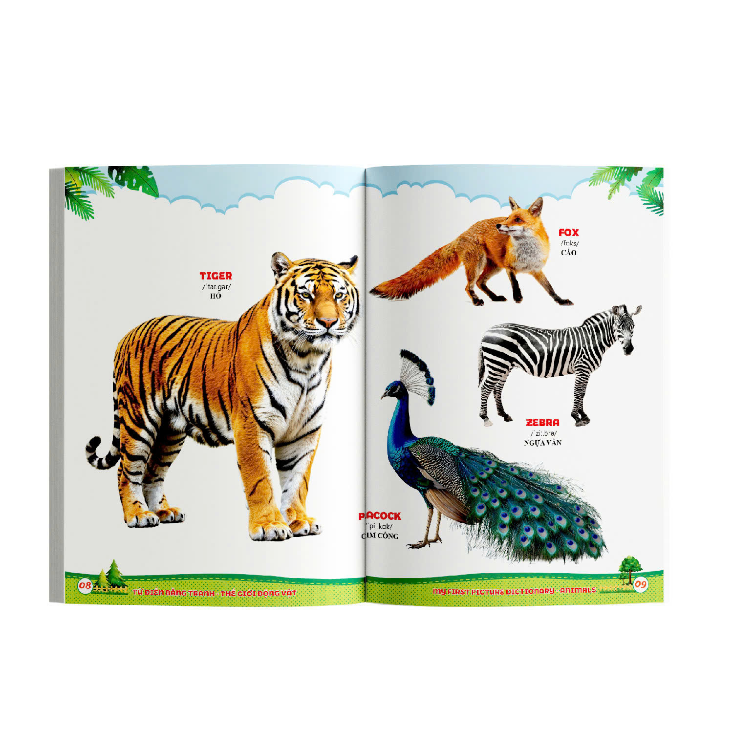 Bộ Từ Điển Bằng Tranh - Thế Giới Động Vật - Ảnh 6