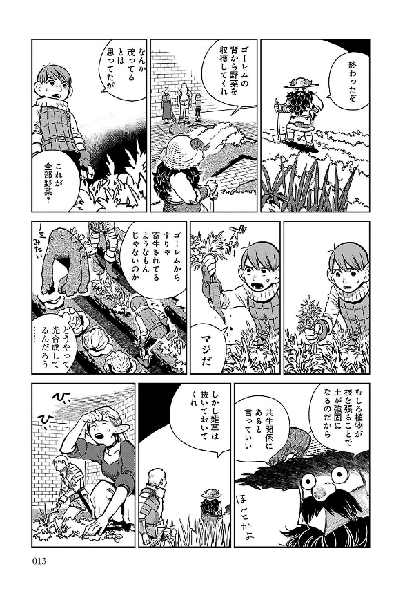 Bo
						
										
										ダンジョン飯 2 - Dungeon Meshi - Delicious In Dungeon - Ảnh 15