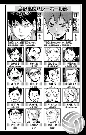 bộ ハイキュー!! 11 - haikyu!! 11 - Ảnh 4