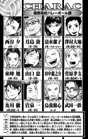 bộ ハイキュー!! 7 - haikyu!! 7 - Ảnh 5