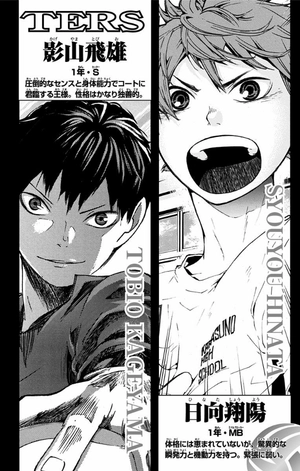 bộ ハイキュー!! 8 - haikyu!! 8 - Ảnh 4