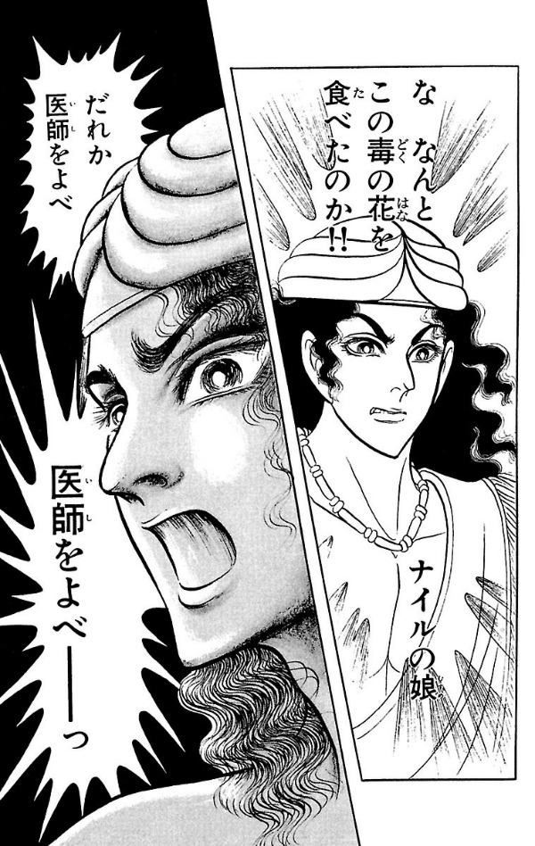 Bo
王家の紋章 - Ouke No Monshou - Crest Of The Royal Family 11 - Ảnh 3