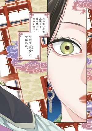 bộ 薬屋のひとりごと~猫猫の後宮謎解き手帳~ 11 kusuriya no hitorigoto - neko neko no 11 - Ảnh 5