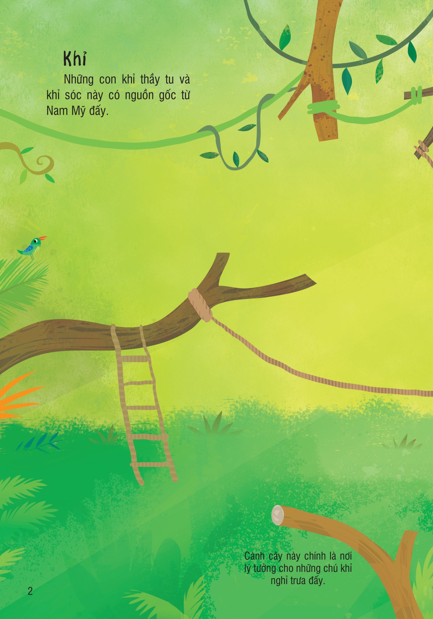 bóc dán thông minh - vườn thú - Ảnh 3