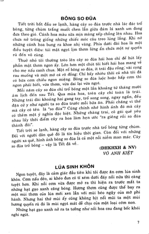 bồi dưỡng ngữ văn 9 - Ảnh 5